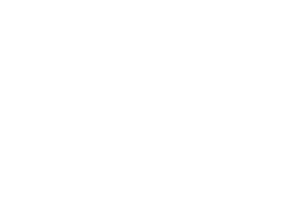 Logo Destra