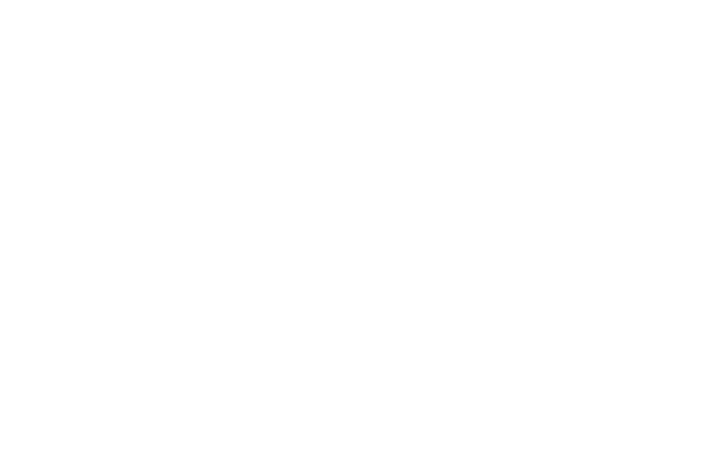 Logo Destra